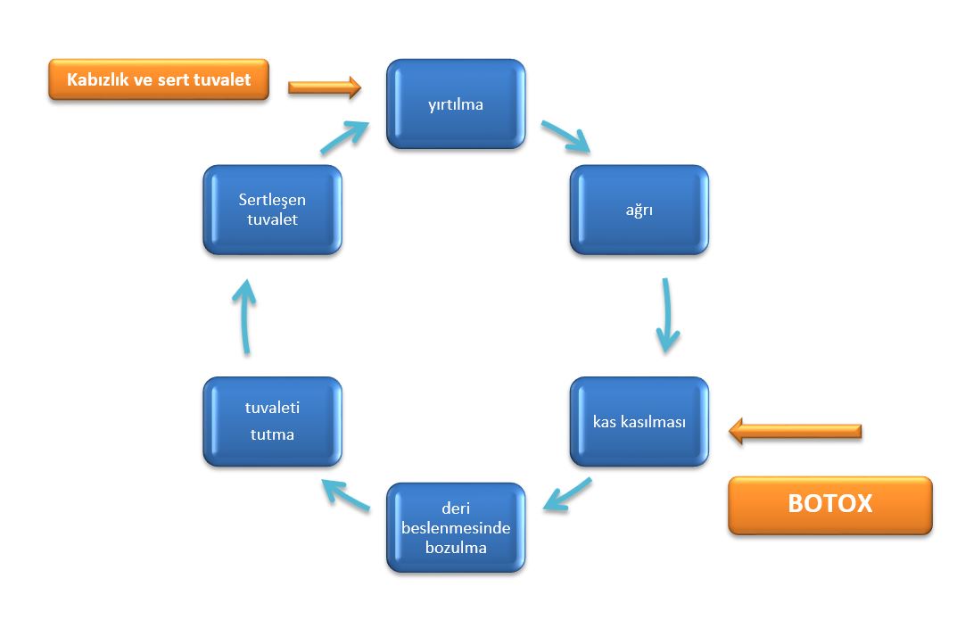 BOTOX SADECE YÜZDEKİ ÇATLAKLARI ONARMIYOR